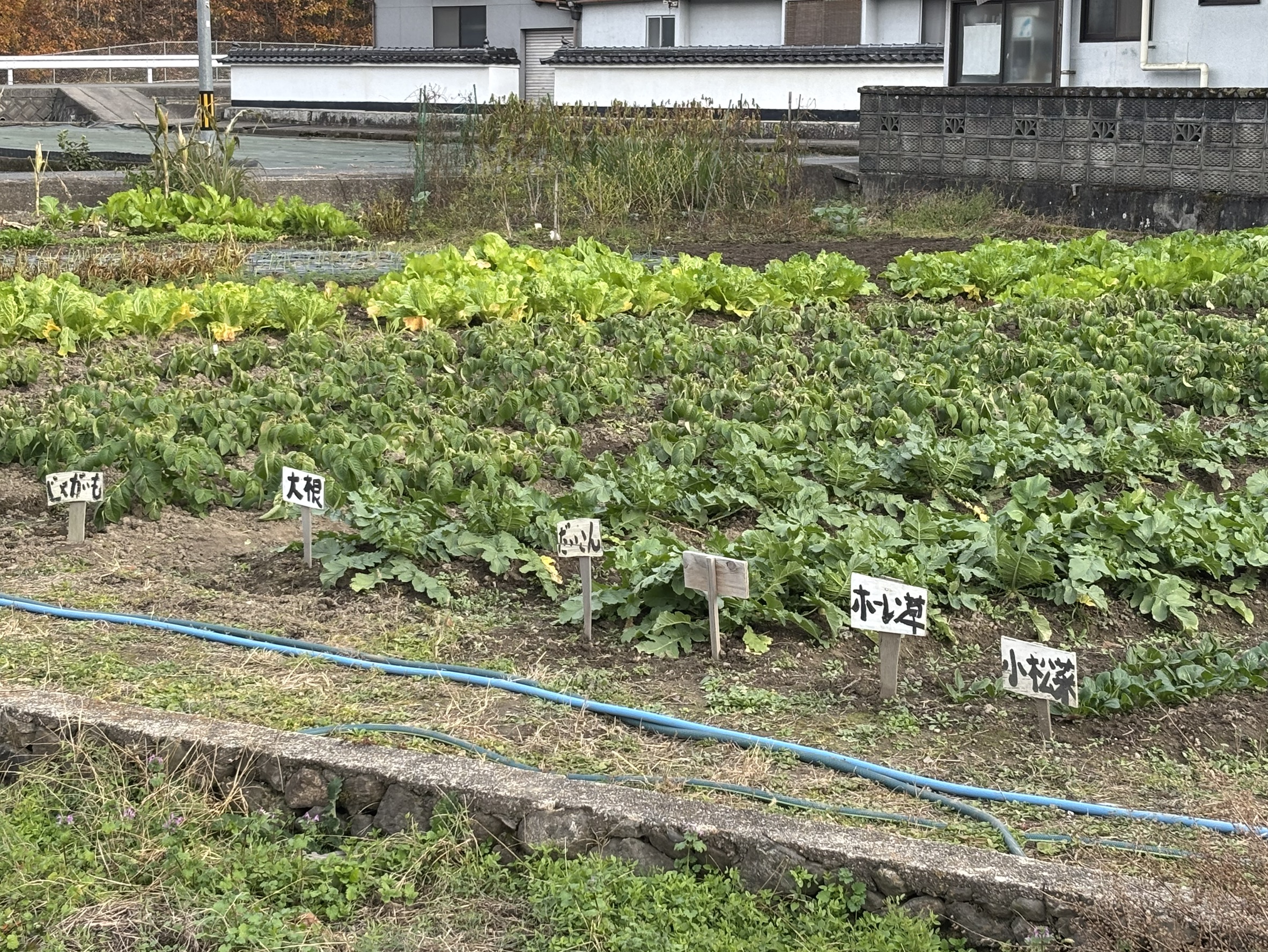 小規模多機能ホームひらりの畑